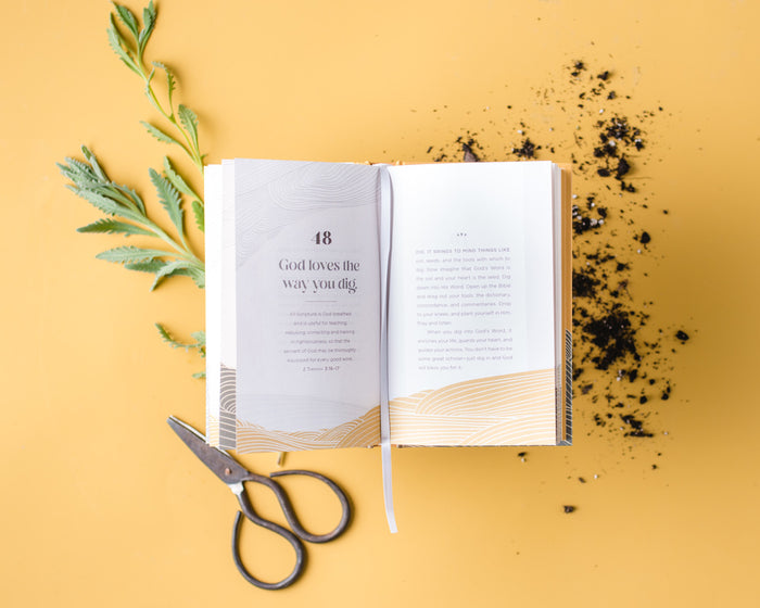 100 Things God Loves About You: Simple Reminders for When You Need Them Most (A 100-Day Devotional)