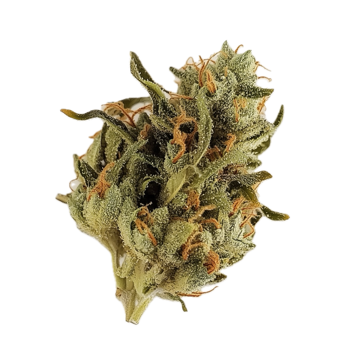 420 Compound 18/1 GAG "Glazed Apricot Gelato"