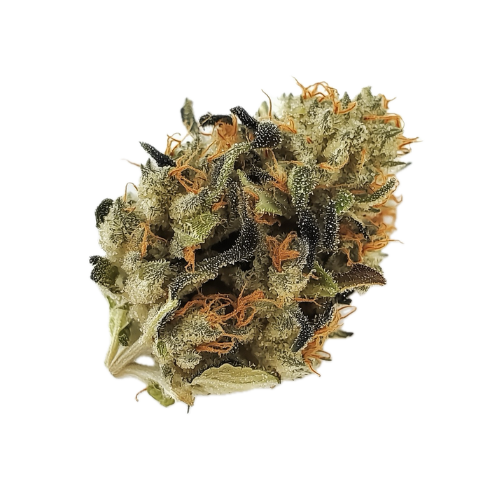 420 Evolution 22/1 PVB "Private Banana"