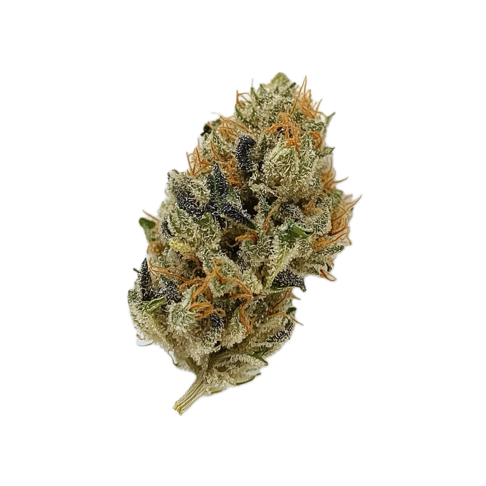420 Evolution 25/1 MAC "MAC 1"