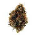420 Evolution 25/1 PCH "Peach Chementine"