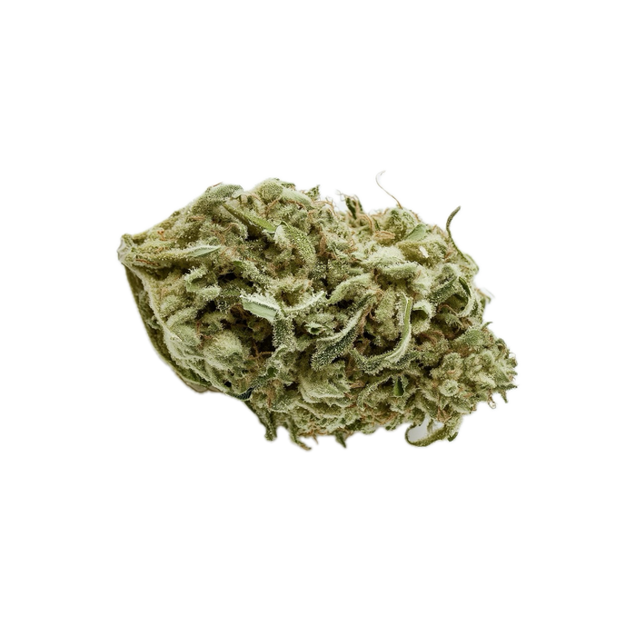420 Evolution 25/1 STR "Star Struck"