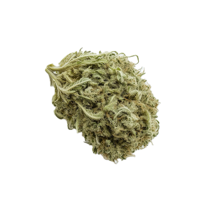 420 Evolution 25/1 WES "Wedding Singer"