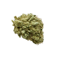 420 Evolution 27/1 GMO "GMO Cookies"