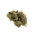420 Evolution 27/1 PCH "Peach Chementine"