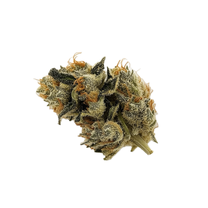 420 Evolution 27/1 PCH "Peach Chementine"