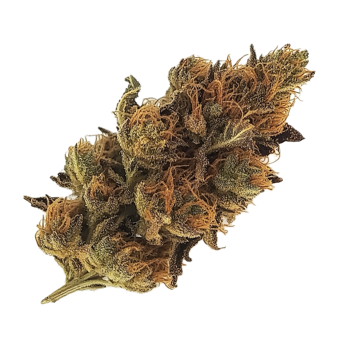 420 Evolution 30/1 GMO "GMO Cookies"