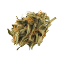 420 Evolution 33/1 PCH "Peach Chementine"