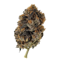 420 Evolution 36/1 PCH "Peach Chementine"