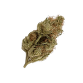 420 Natural 20/1 GG4 "Gorilla Glue"