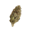 420 Natural 25/1 GG4 "Gorilla Glue"