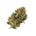 All Nations DK 27/1 "Diamond Kush"