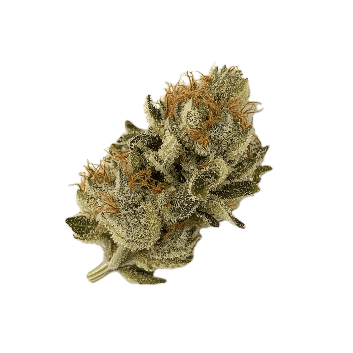 All Nations DK 27/1 "Diamond Kush"