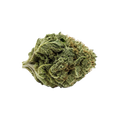 Amici 27/1 AS "Atomic Sour Grapefruit"