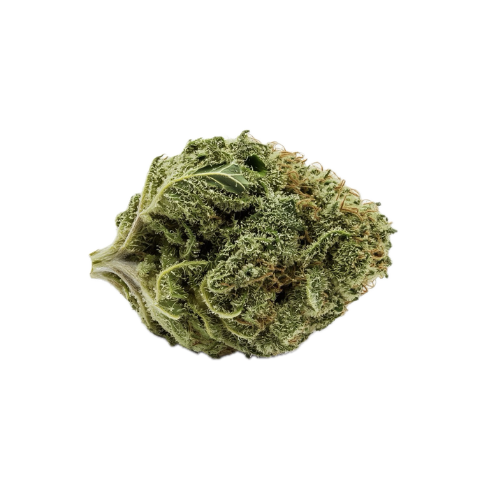 Amici 27/1 AS "Atomic Sour Grapefruit"