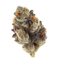 avaay 12/8 CAN "Cannatonic"