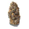 avaay 20/1 ZKT "Zkittlez"