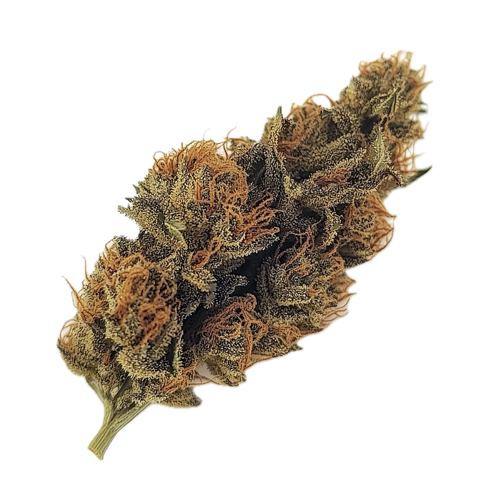 avaay 24/1 KK "Khalifa Kush"