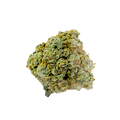 avaay 26/1 SK "Sour Kush"