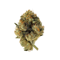 avaay 34/1 SCP "Sour Cherry Punch"