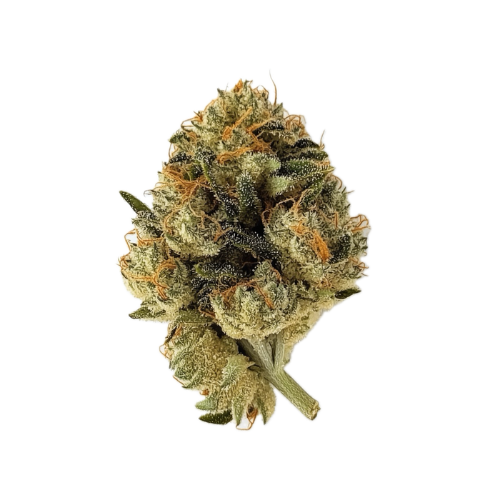 avaay 34/1 SCP "Sour Cherry Punch"