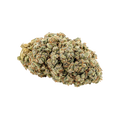 avaay Signature 28/1 GPM "Gun Powder Milkshake"