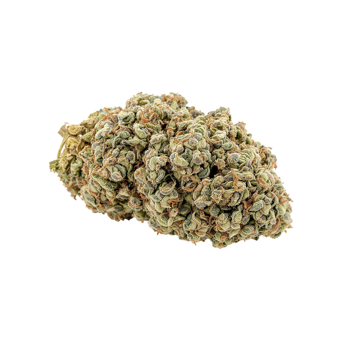avaay Signature 28/1 GPM "Gun Powder Milkshake"