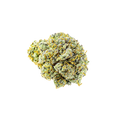 avaay Signature 31/1 OGC "Ocean Grown Cookies"