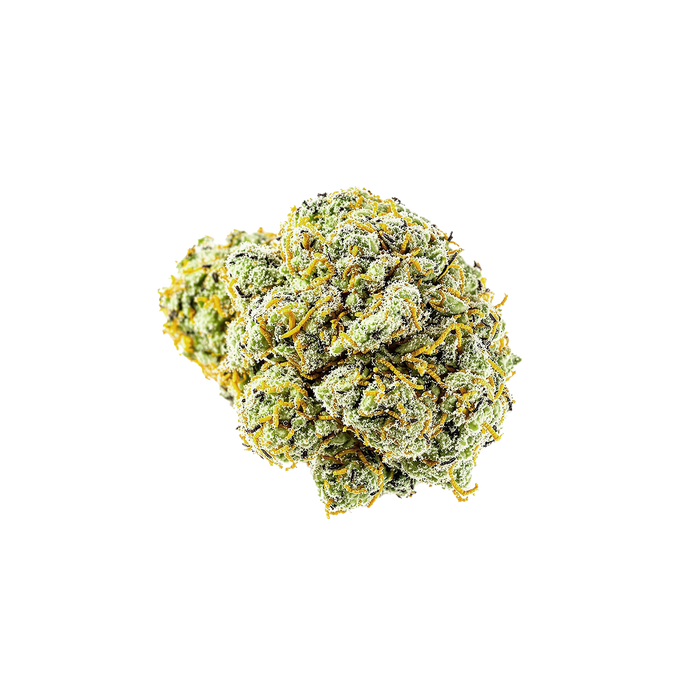 avaay Signature 31/1 OGC "Ocean Grown Cookies"