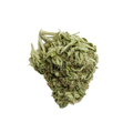 Barongo 28/1 DR "El Jefe"