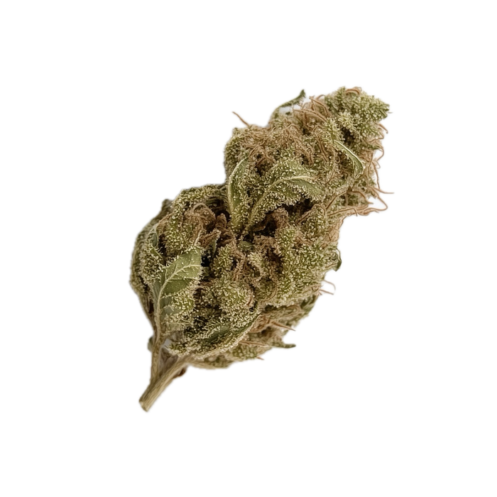 Bathera 23/1 "Dank Sinatra"