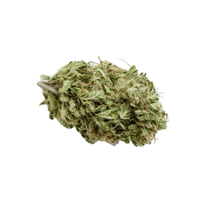 Bathera 28/1 FA "Facetz"