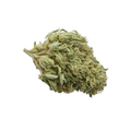 Beacon 23/1 GO "Galactica OG"