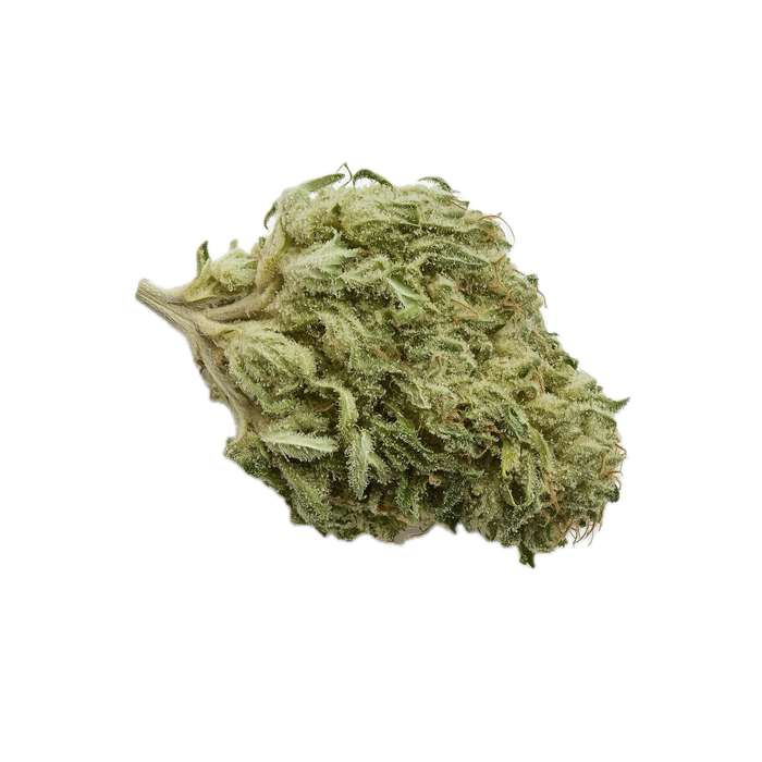 Cannamedical Balanced Classic 6/10 Cali-O "California Orange"