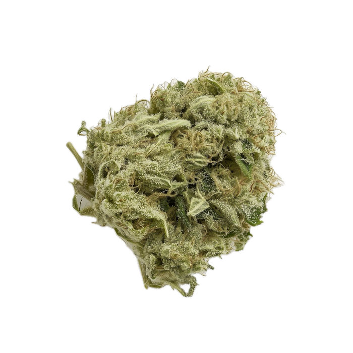 Cannamedical CM 28/1 "OG Kush"