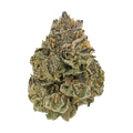 Cannamedical CM Craft 28/1 "Midnight Lotus"