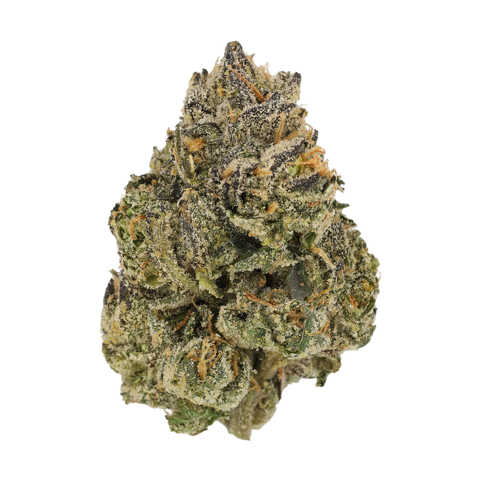 Cannamedical CM Craft 28/1 "Midnight Lotus"