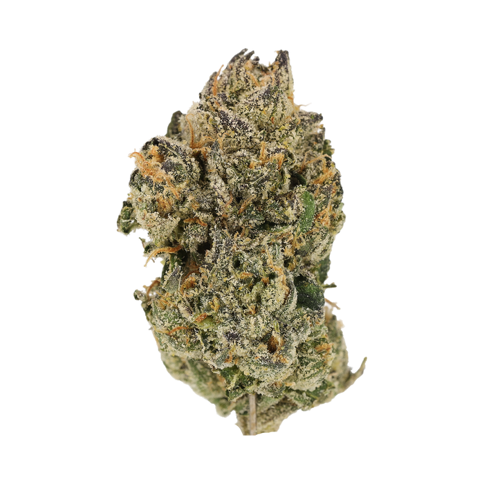 Cannamedical CM Craft 28/1 "Midnight Lotus"