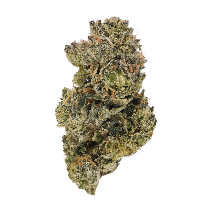 Cannamedical CM Craft 28/1 "Midnight Lotus"