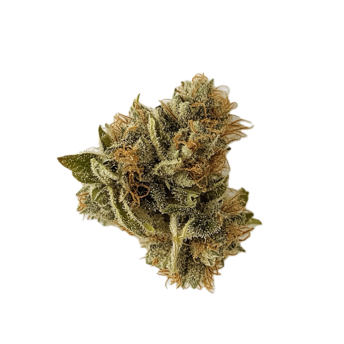 Cannamedical Hybrid Forte BC 22/1 "Lemon Cookie"