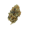 Cannamedical Hybrid Forte DK 24/1 "Ghost Train Haze"
