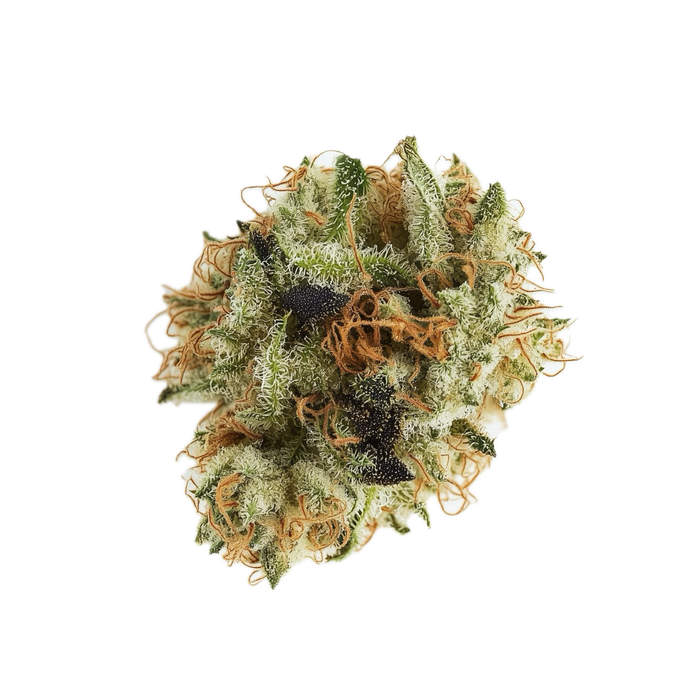 Cannamedical Hybrid Forte SA 22/1 "Blunicorn"