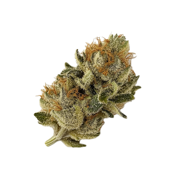 Cannamedical Indica Classic AU 21/1 "El Jefe"