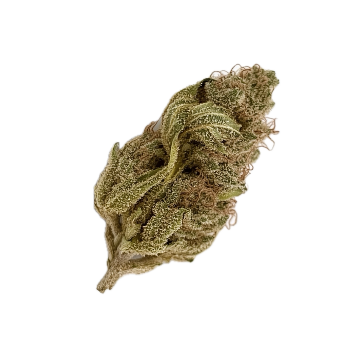 Cannamedical Indica Forte MA 24/1 "Crazy Rntz"