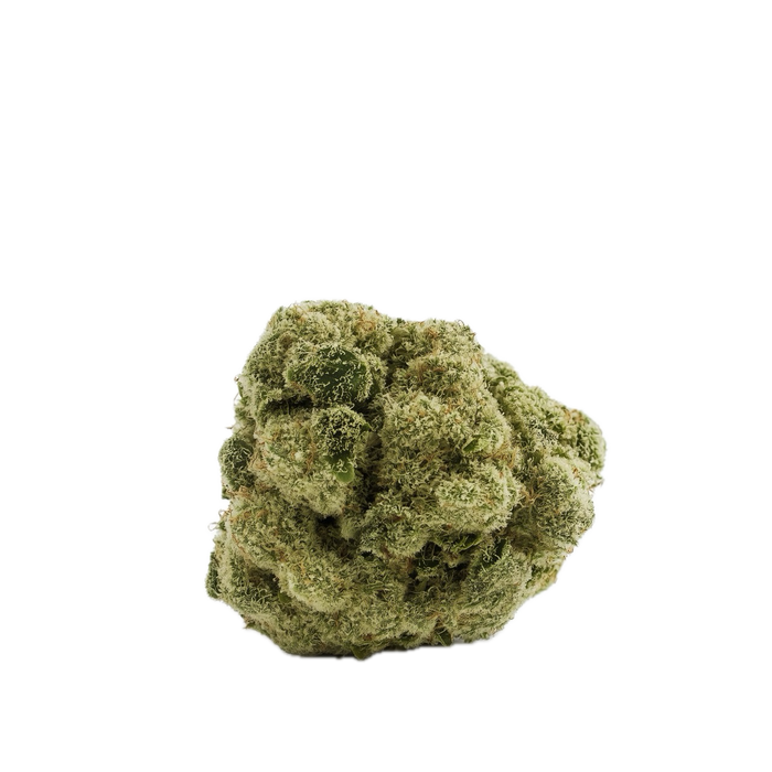 Cannamedical Sativa Classic 20/1 AU “Tangie Chem”