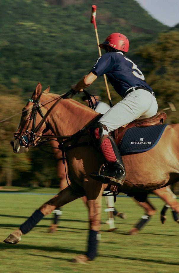 Chivas Royal Salute Rio De Janeiro Polo Edition 21 Year Old 700ml