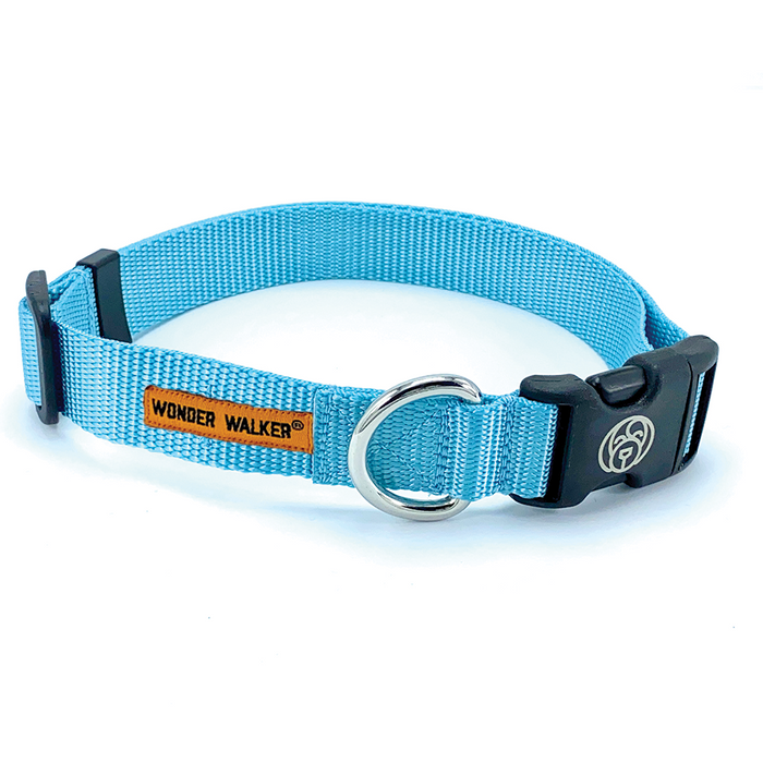 Small | Fits 10-15" | 5/8" Webbing / Turquoise