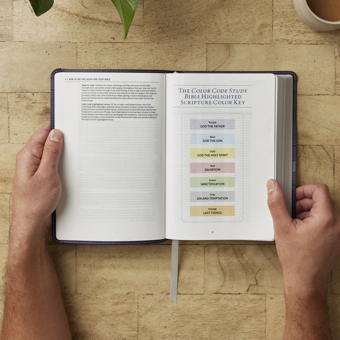 Color Code Study Bible, Revealing God's Truth Color by Color (NIV, Red Letter, Comfort Print)