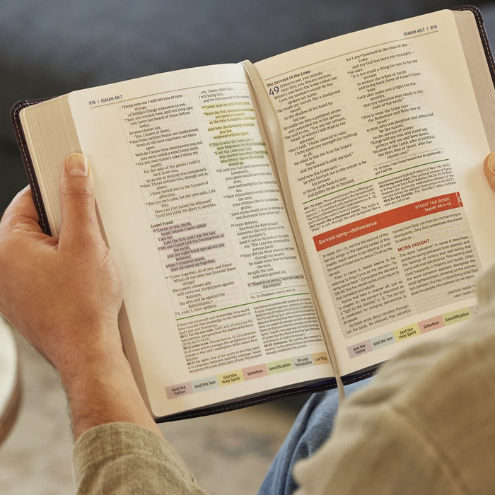 Color Code Study Bible, Revealing God's Truth Color by Color (NIV, Red Letter, Comfort Print)