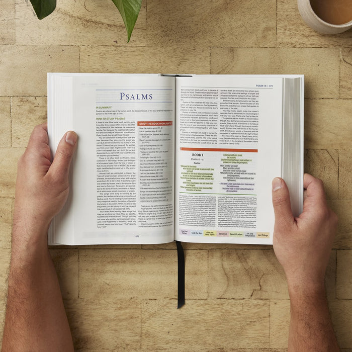 Color Code Study Bible, Revealing God's Truth Color by Color (NIV, Red Letter, Comfort Print)